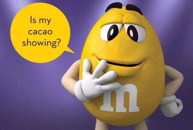M&M's PEANUT DARK CHOCOLATE COAT, VALUE PACK LIMITED TIME IN POUND BAG- PICK NOW - Image 4 of 4