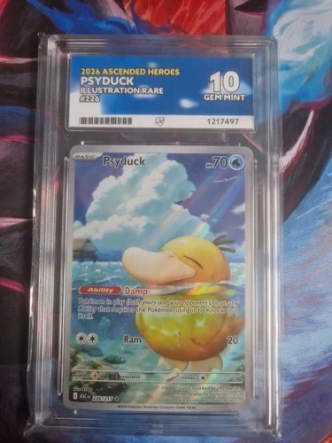 Psyduck 226 - Ascended Heroes - Pokemon - ACE 10