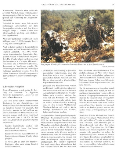 Greifvögel und Falknerei 1991 ✴ Jahrbuch des DFO (Deutschen Falkenordens) ✴ Neu - Bild 4 von 5