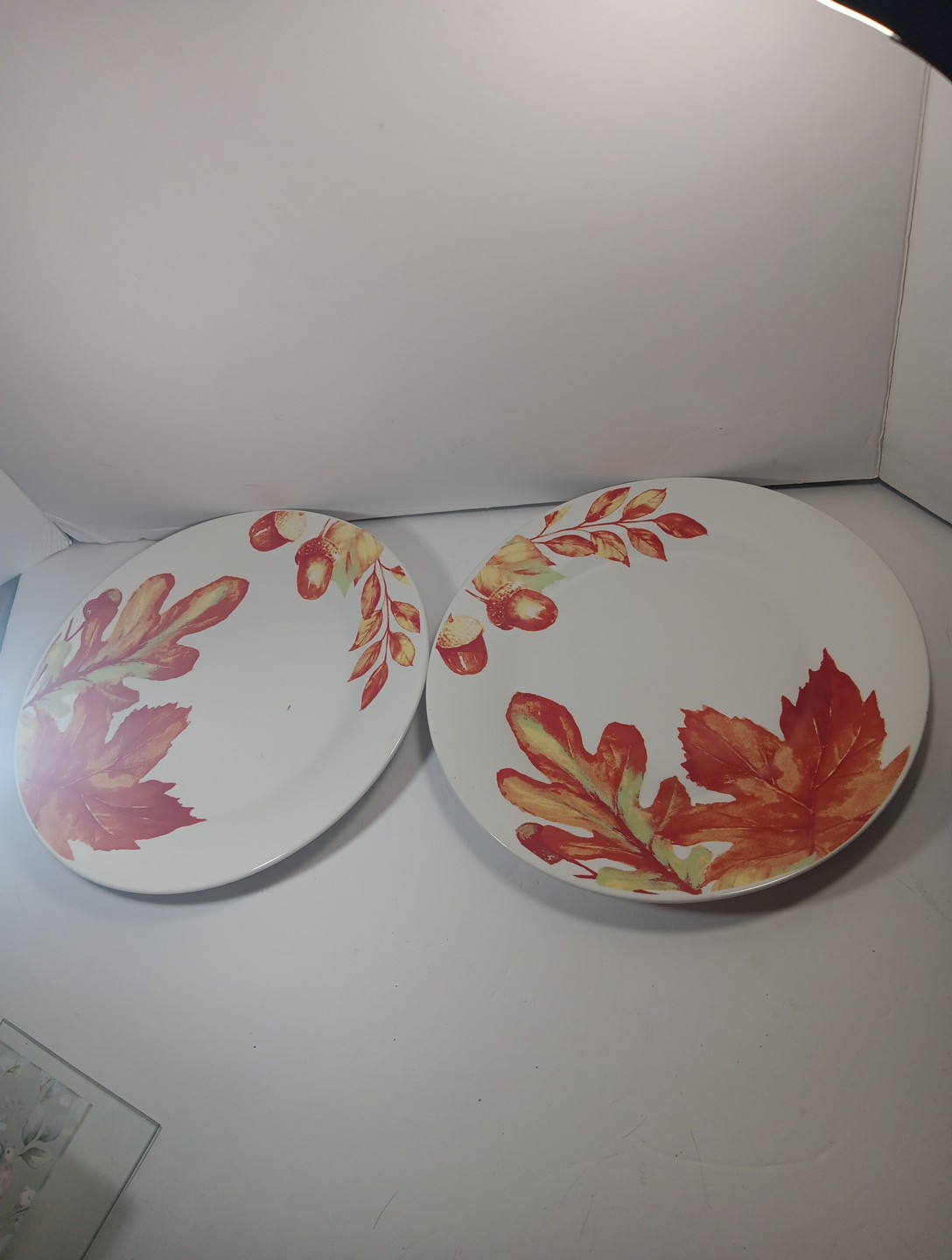 Dinnerware Royal Norfolk Autumn / Fall Leaves and Acorns 10.5