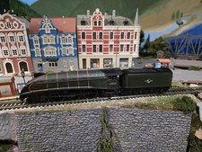 Bachmann Branchline BR Green Class Seagull Steam Locomotive 31-957 OO Scale DC