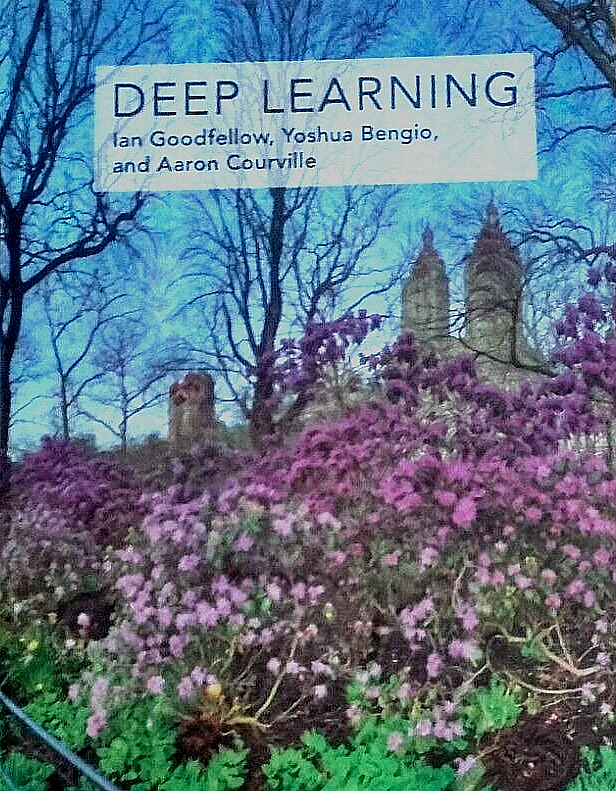 Deep Learning - Ian Goodfellow,Yoshua Bengio,Aaron Courville, FREE SHIPPING