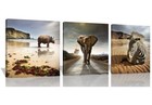 3 Piece Animal Canvas Wall Art Rhino, Elephant, And Zebra Painting — photo 2