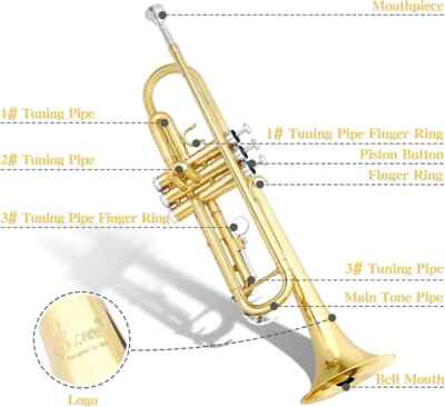 トランペット SLADE DESIGNED USA SLADE Bb Trumpet Brass Instrument Standard Brass Trumpet | eBay
