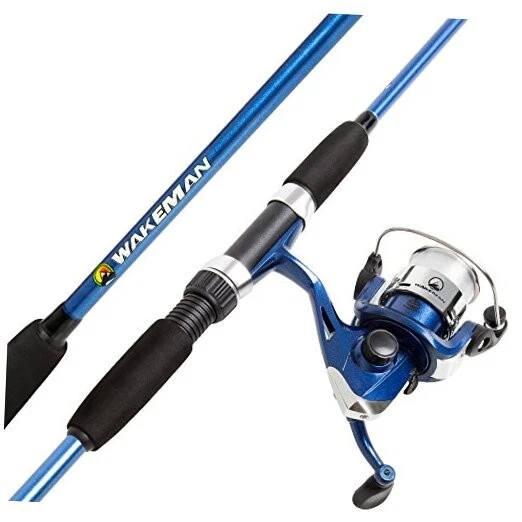 Salmon Freshwater Fishing Rod & Reel Combos for sale | eBay