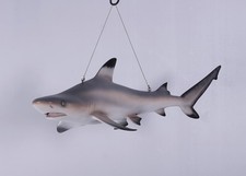 Hanging Black Tip Shark Resin Statue Sea Prop Ocean Animal Display Marine Decor