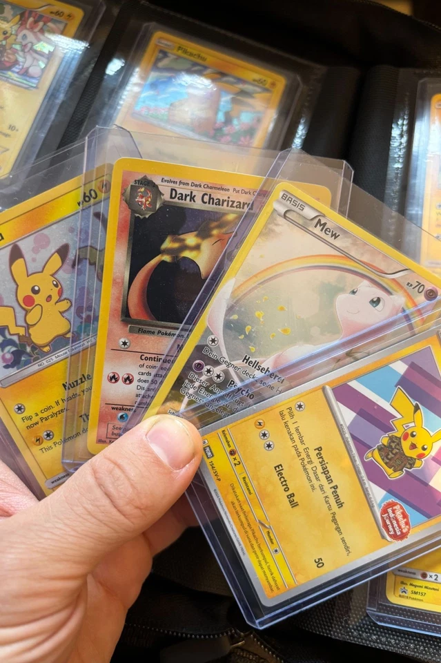 Pokemon Single Pipeline & 30 Jahre Break