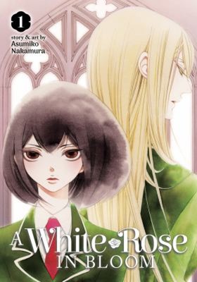 A White Rose in Bloom Vol. 1 Paperback Asumiko Nakamura