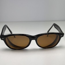 Garden Grove Kirkland Wayfarer Sunglasses Kirkland Signature