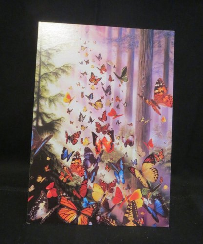 Butterflies by David Penfound-Leanin' Tree Card #3196 - Picture 2 of 4