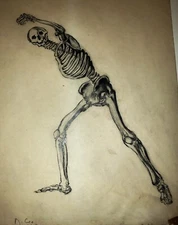 MIRIAM COE (American naturalist, b. 1902 - 2011) Human Skeleton in Graphite 1963