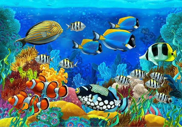 Wallpaper aquarium cheap