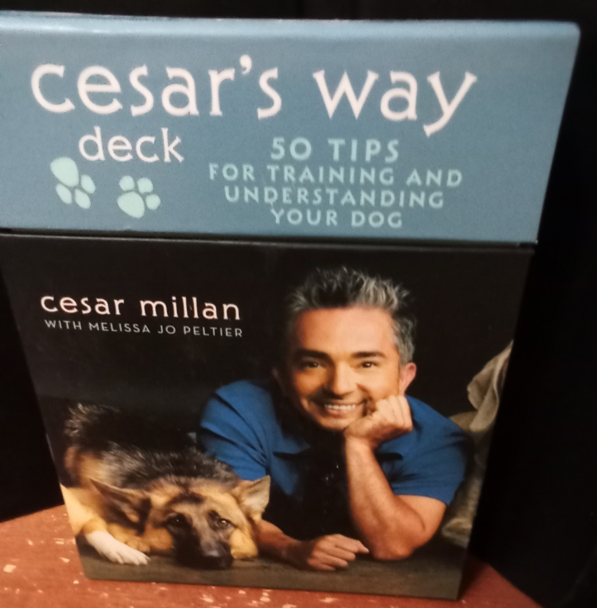 Cesar's Way Deck: 50 Tips for Training and Understanding Your Dog by Cesar Mill