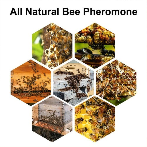 60ml Outdoor Bienenlockstoff Imkerei Werkzeug Wildbienenfänger Bienenstock Schwarm - Bild 10 von 12