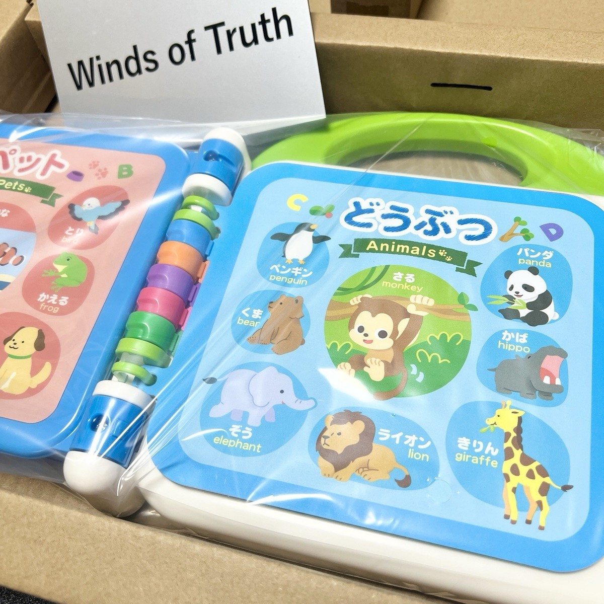 Toyroyal Leapfrog Bilingual 100 Words Book for Toddlers English