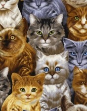 BTY Cats packed Cotton Fabric By The Yard from Timeless Treasures C9820