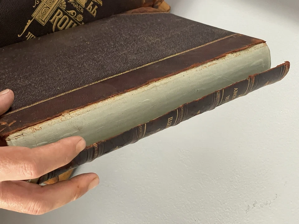 All Around the World Illustrated VOL. I -II 1885-1890 W.F. AINSWORTH Foto 3 de 4