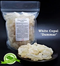 1 Lb White Copal Damar Gum Resin From Dipterocarpaceae trees Gammar Resin 16 oz