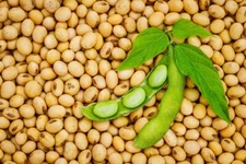 Soybeans (5 Lbs) Gluten Free, Great for Salad Sprouts Grown in Iowa, Vegetarian 