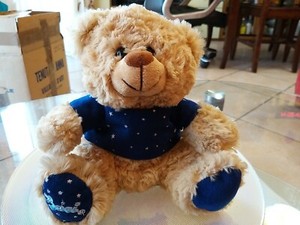 orsetti peluche da collezione