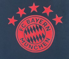 Bayern Munich Adidas Training Pants 2022-2023 Mens LARGE Gray & Red NWOT