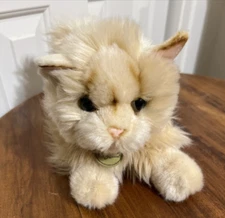 2019 Aurora Miyoni Himalayan Kitty Cat 10"
