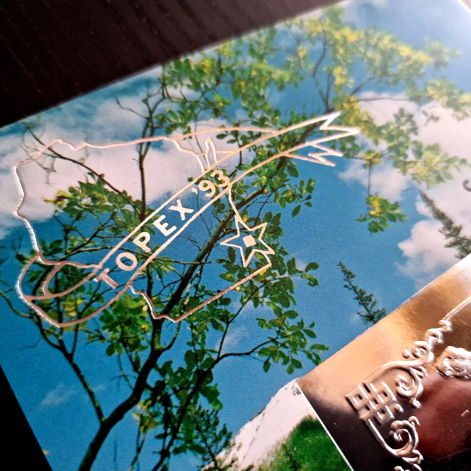 Mongolia 1993 SPECIMEN Turtles Mushrooms MNH Silver Stamp Block - Image 4 of 4