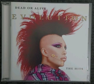 DEAD OR ALIVE Evolution CD THE HITS 2003 18 songs YOU SPIN ME ROUND Sex Drive