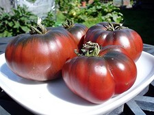 20 seeds Black Krim Tomato Organic Heirloom VARIETY Non-GMO