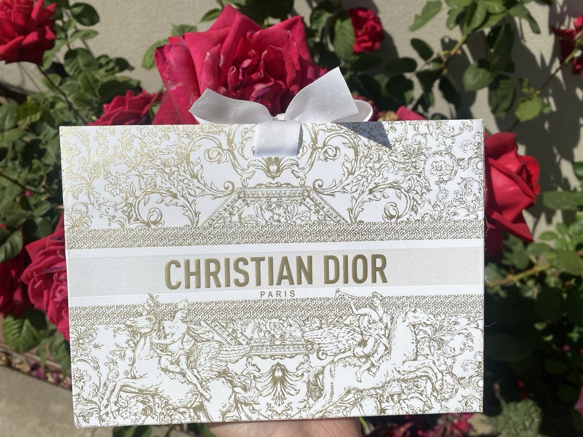小物 Dior Grossy Dior Beauty Mother's Day Butterfly Mesh Zip Pouch NEW IN BOX