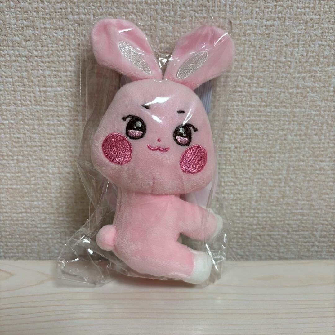 ATEEZ ANITEEZ IN ICE CITY Japan Plush Card Holder & Photo Card set