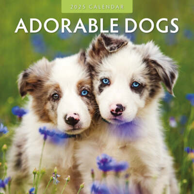 ADORABLE DOGS - 2025 CALENDAR - BRAND NEW - 423677