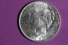 Estate Find 1923 - P Peace Dollar!!  #N08105