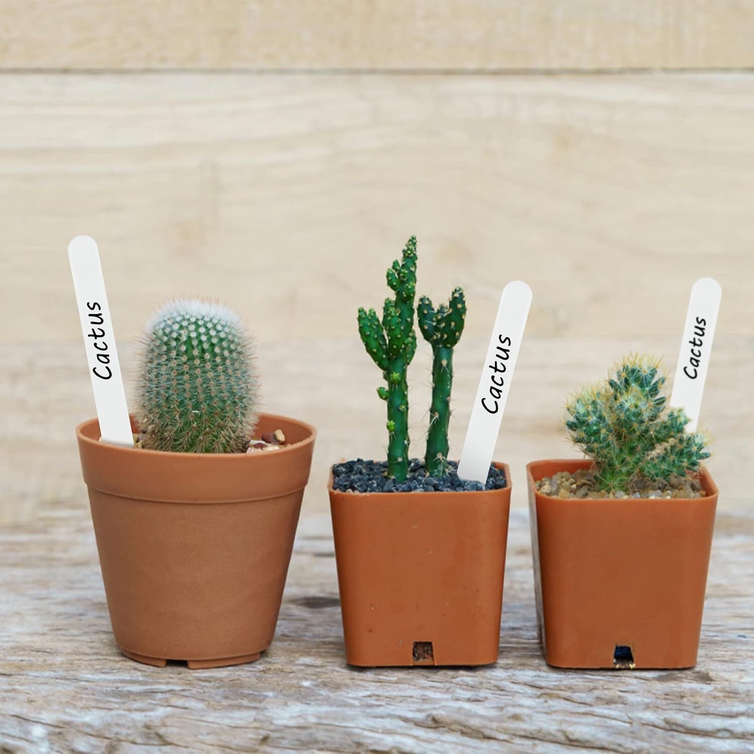 Down to Earth 13cm (5"") Plant Labels Pack of 250