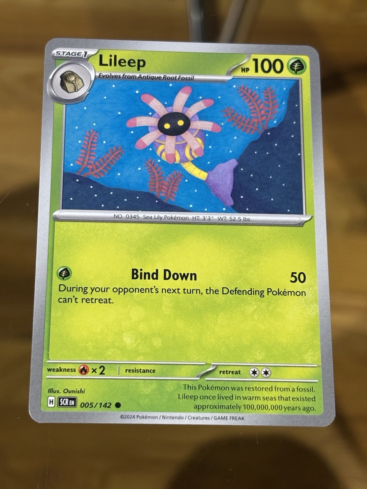Lileep - 005/142 - Common Stellar Crown Pokemon Card Buy 2 Get 1 Free