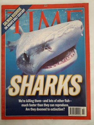 Time August 1997 Sharks We're killing them - Salman rushdie on India's half century
