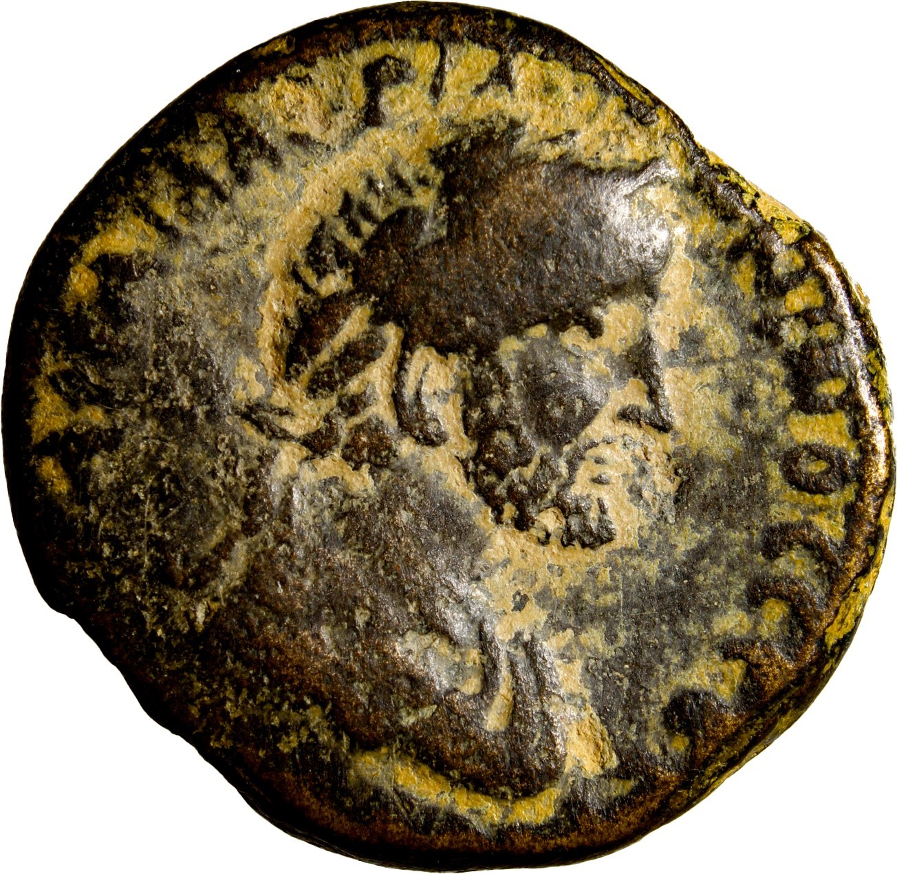 RARE Antoninus Pius AE 24mm Petra Decapolis Tyche Trophy AD 138-161 Spijkerman