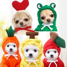 2 Leg Pet Dog Clothes Fruit Costume Cat Puppy Coat Winter Hoodies Warm Sweater