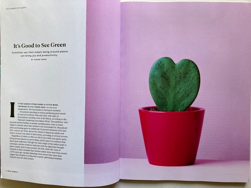 THE POWER OF PLANTS CALMING BENIFITS, ETC. 2024 REAL SIMPLE SPECIAL Magazine NEW - Picture 3 of 15
