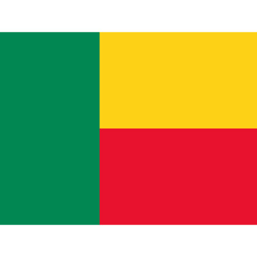 Póster de Bandera Nacional de Benín Banderas Mundiales País Arte Lienzo Imagen Impreso 18X24 - Imagen 1 de 6