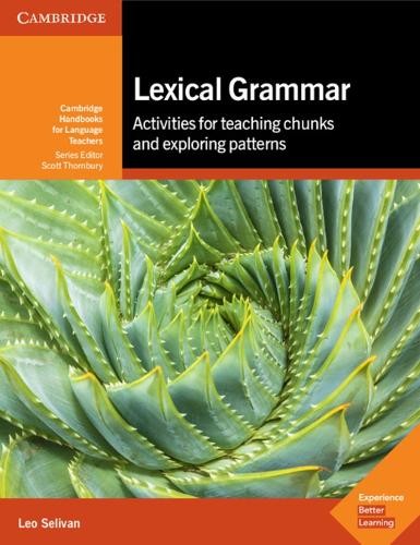 Lexical Grammar by Selivan, Leo New Fast Free Shipping<- - Image 3