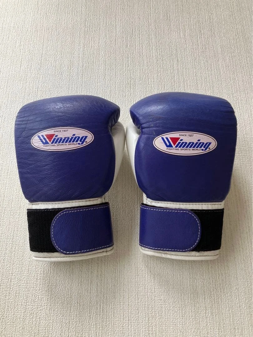 Winning 8 oz. Weight Boxing Gloves for sale | eBay