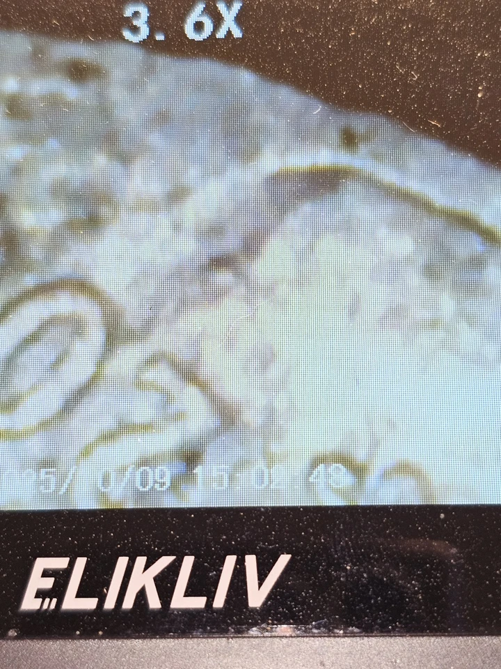 2007-P Roosevelt Dime Obverse Die Break - Image 2 of 4