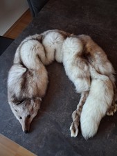 Silberfuchs Stola mit Kopf, Schweif und Füssen, 130 cm