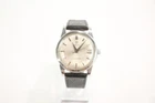 Omega Seamaster Date Watch Automatic Working
