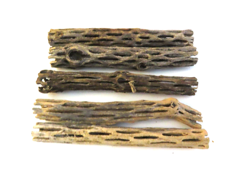 Acquario di pesci gamberetti gamberetti legno biologico non trattato CHOLLA 6" pollici 5 pezzi - Foto 3 di 4