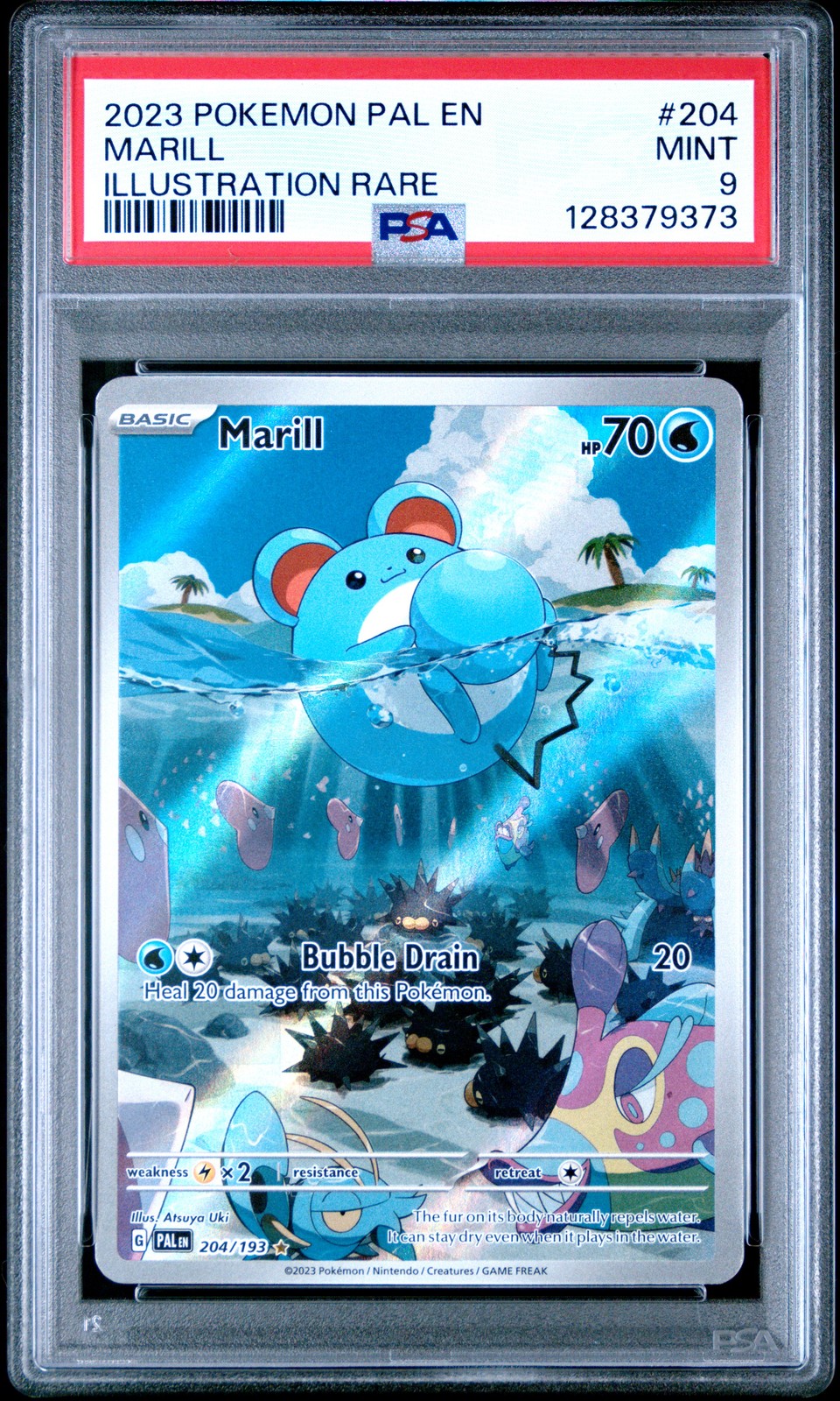 Marill #204
