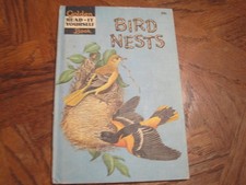 Bird Nests