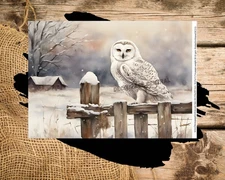 Snow Owl | Rice Paper | A4 Rice Paper | Paper for Decoupage | Decoupage Central