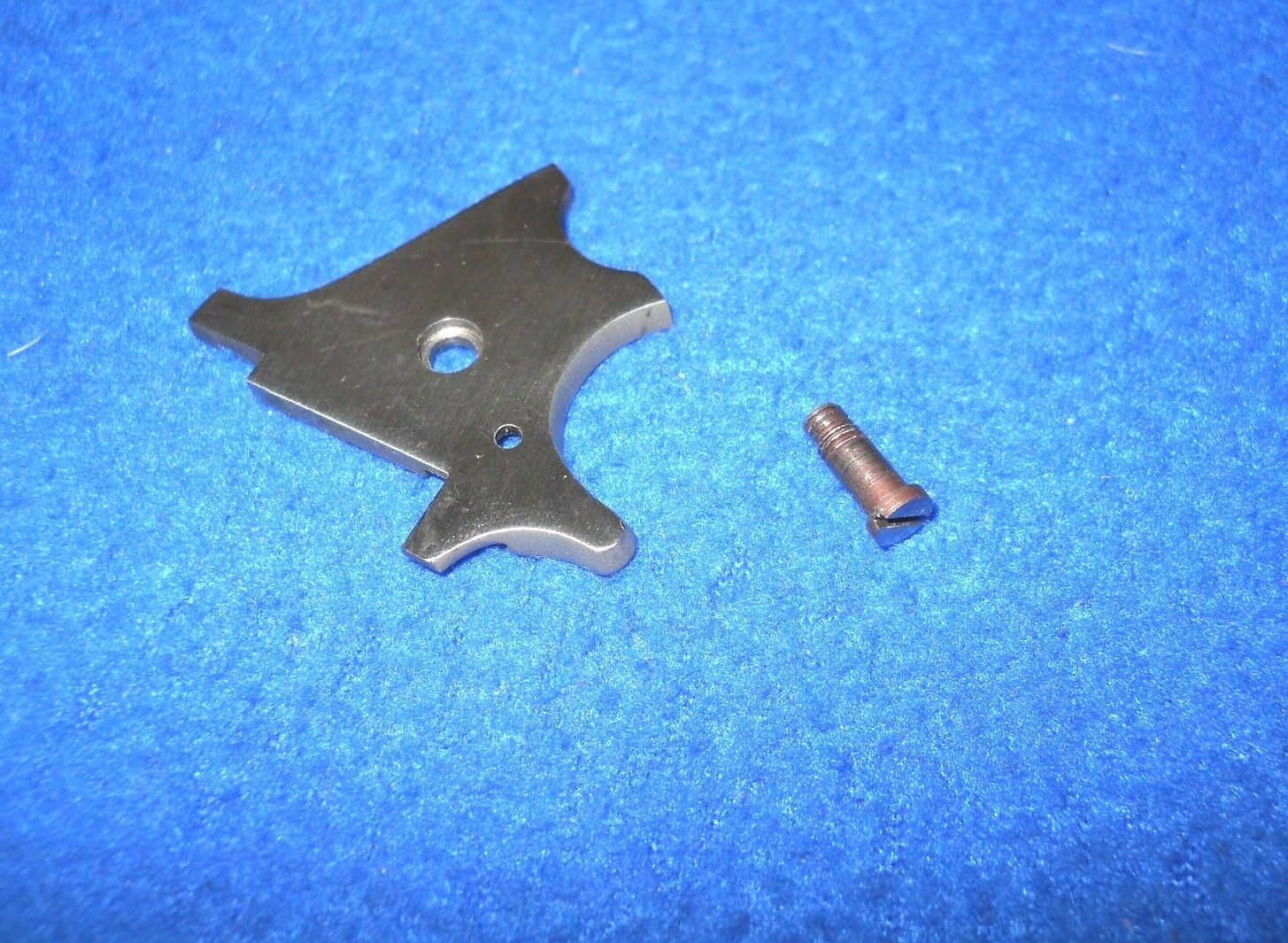 North American Arms 22 Magnum NAA2M Derringer revolver SIDEPLATE & SCREW #TC9718